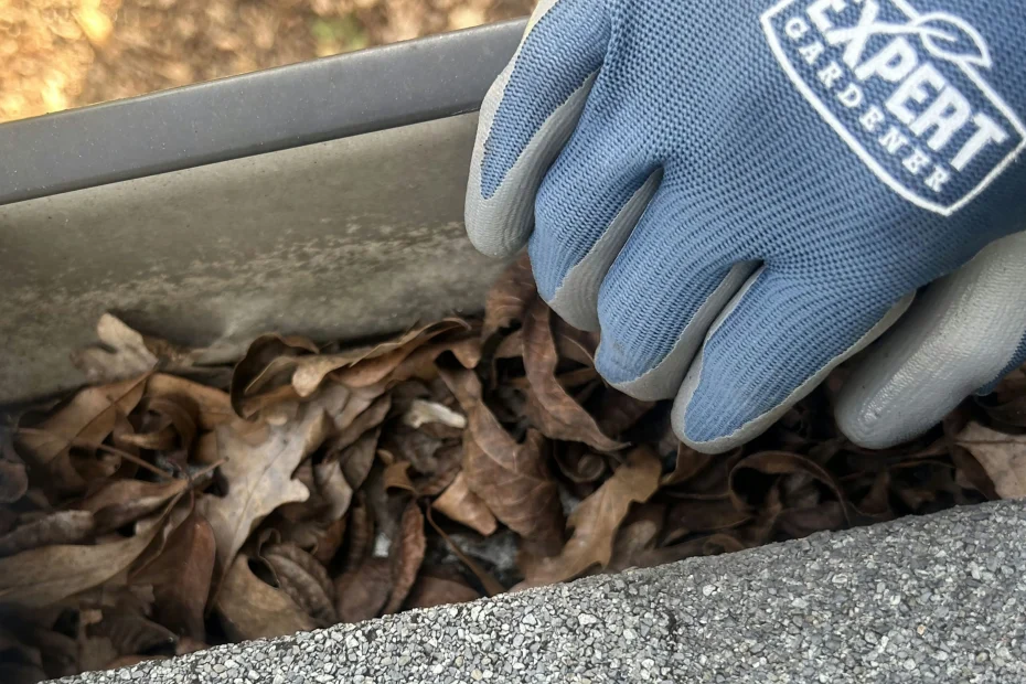 Gutter Cleaning Beaverdam