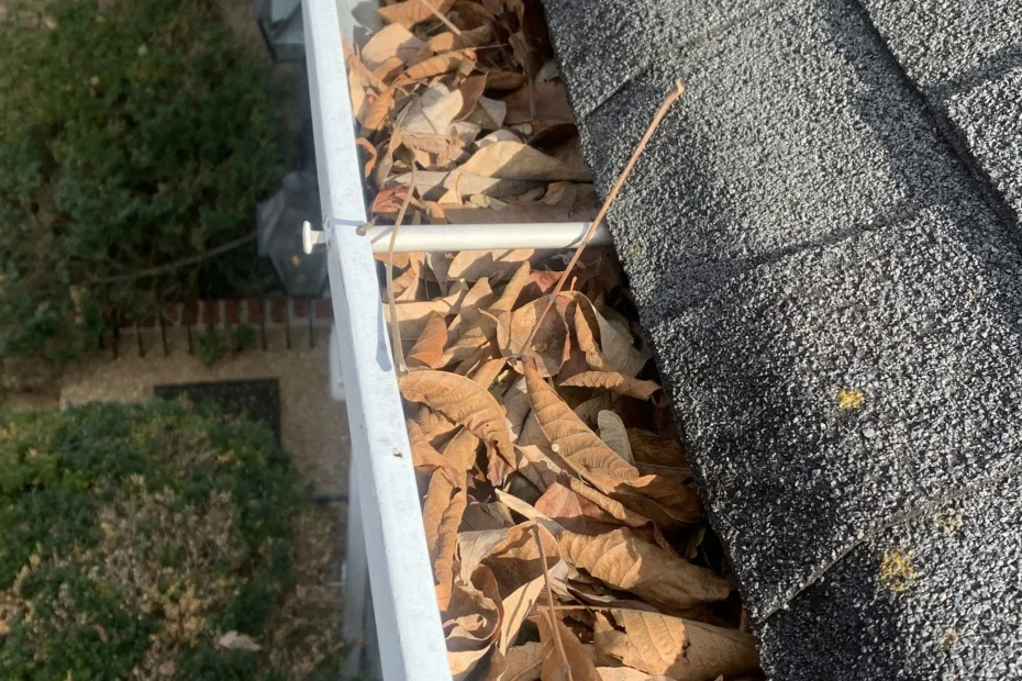 Gutter Cleaning Beaverdam