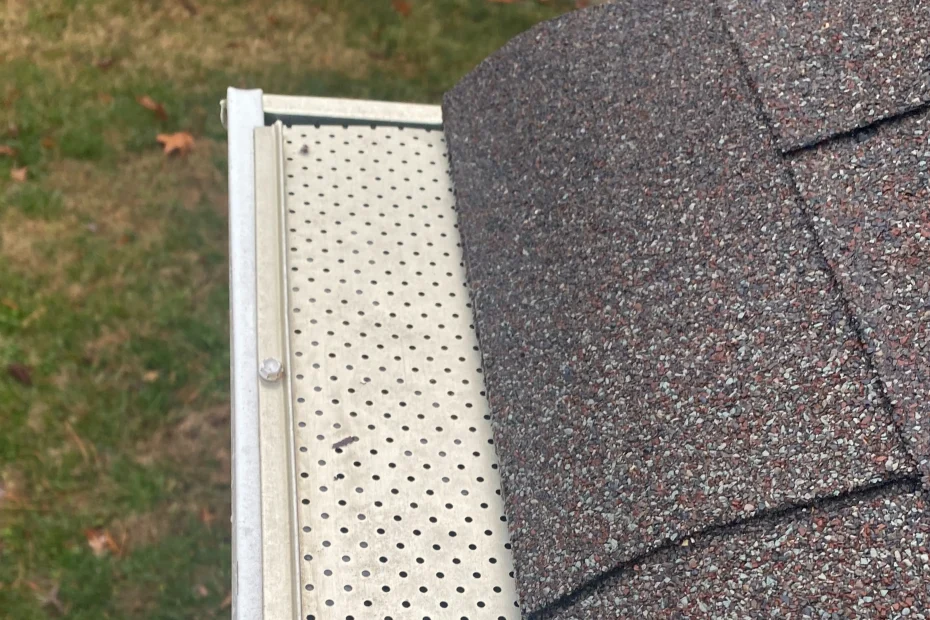 Gutter Cleaning Beaverdam