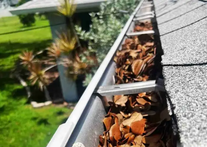 Gutter Cleaning Beaverdam home page